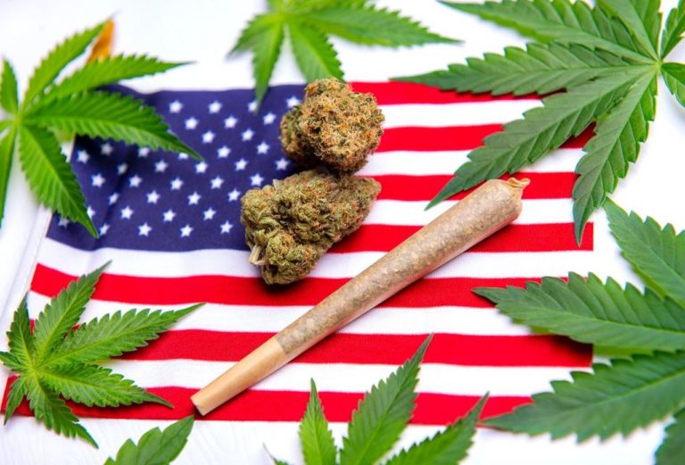 cannabis usa