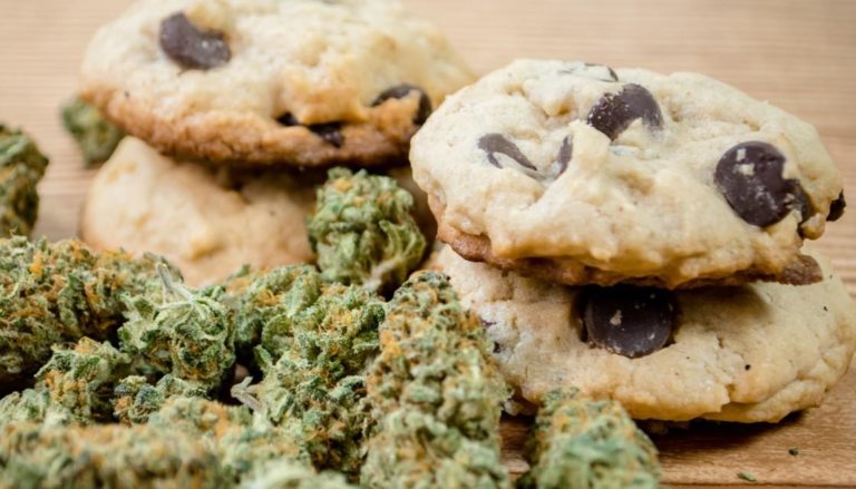 galletita