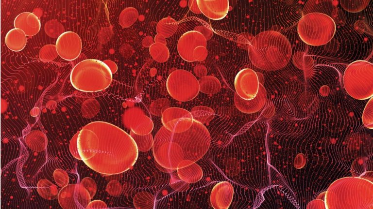 i02digital5-1024x576