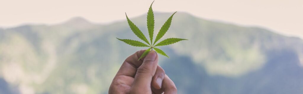 colombia_interior_1600x500