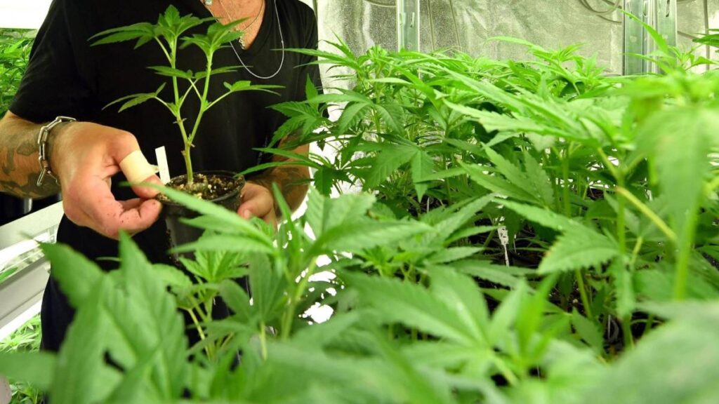 1497891209_905704_1497891322_noticia_normal