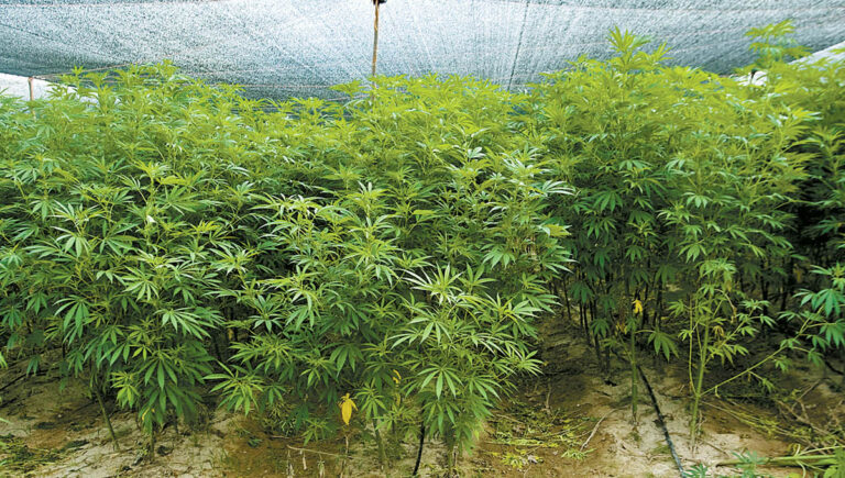 TRASLADO DETENIDOS SIEDO