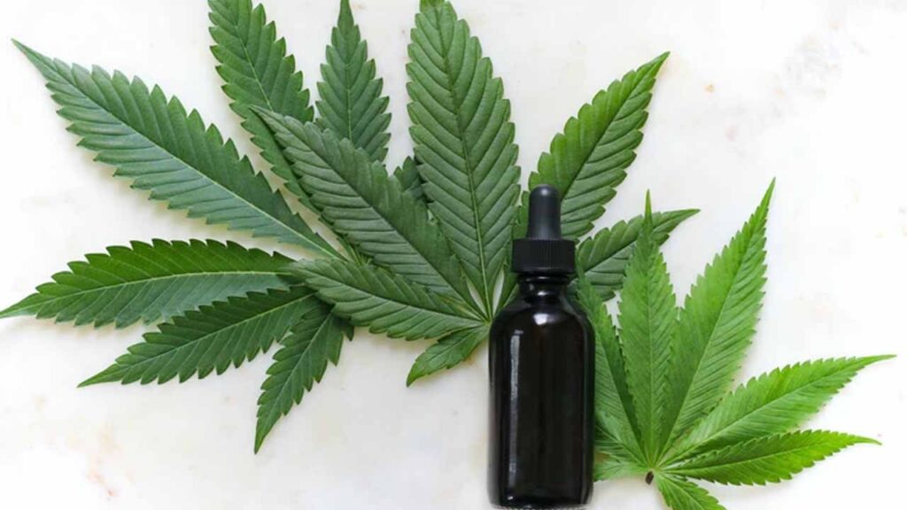 industria-de-la-marihuana-en-mexico