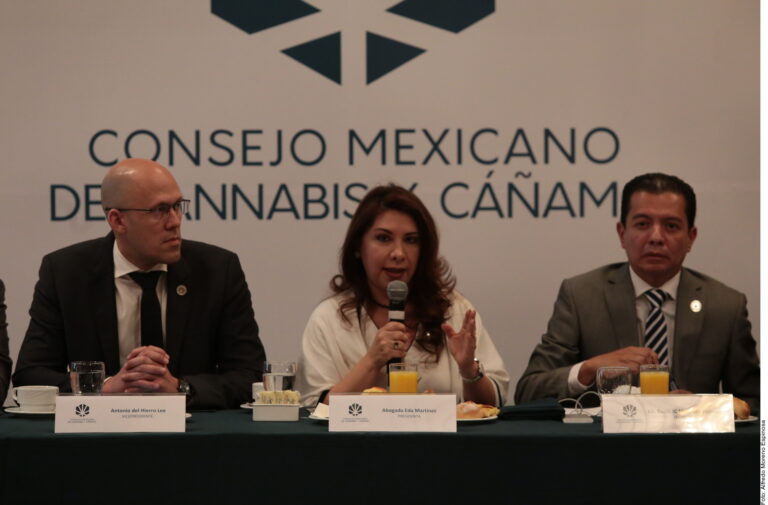 N3-CANNABIS