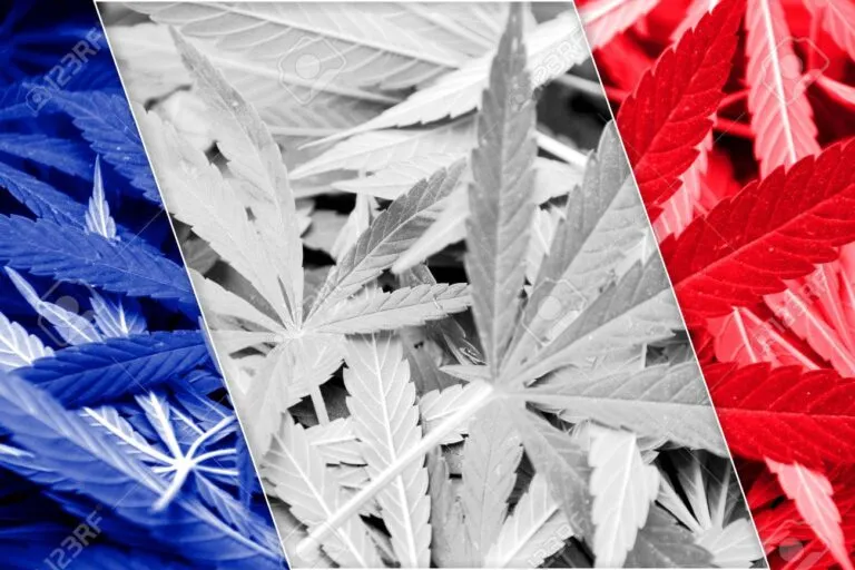 France Flag on cannabis background. Drug policy