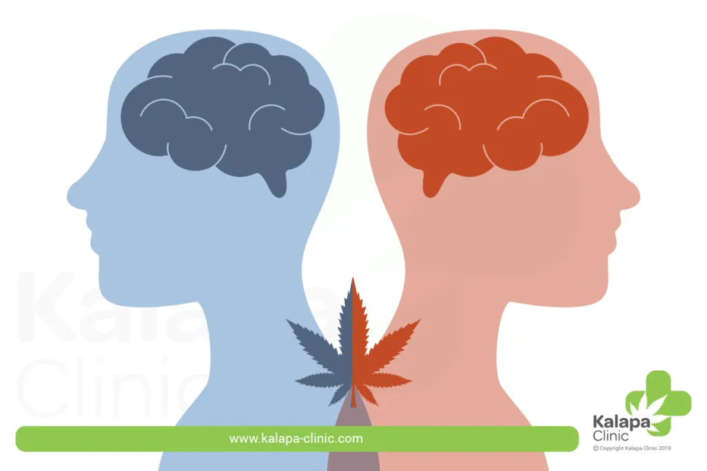 D922EA15-7CE2-481F-B92E-20794AF92C02