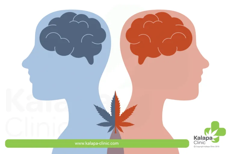 D922EA15-7CE2-481F-B92E-20794AF92C02