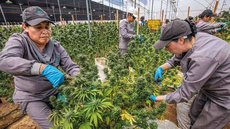 USBMWWGRVNE3TLRFPRUHPUHB6I