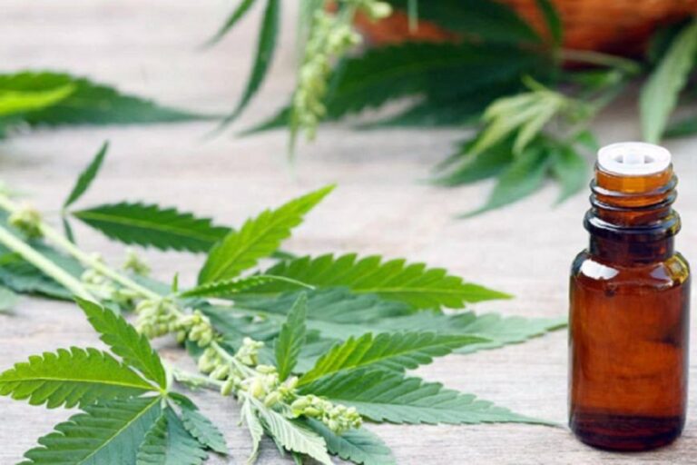 cannabis2_0