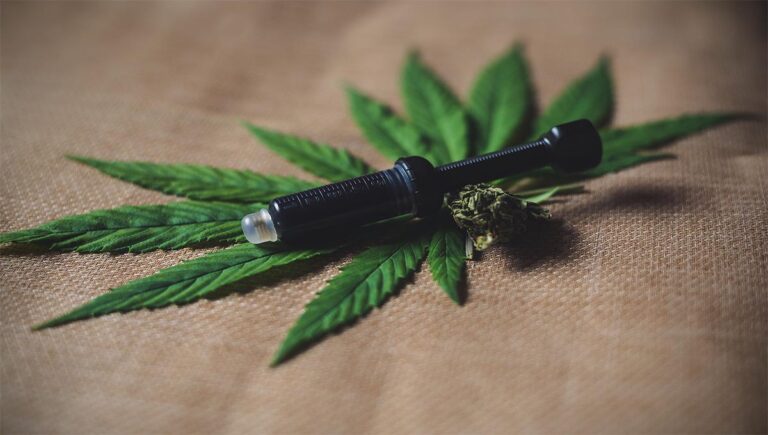 vicente_fox_marihuana_vibetv_1200x680