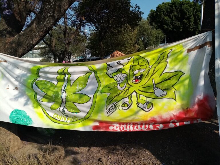 Cannabis2