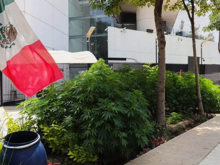 IOUC6ANLV5H6FGQ7EYK32PKO44