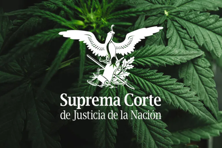 La-Suprema-Corte-de-México-valora-legalizar-el-cannabis-desde-el-poder-judicial