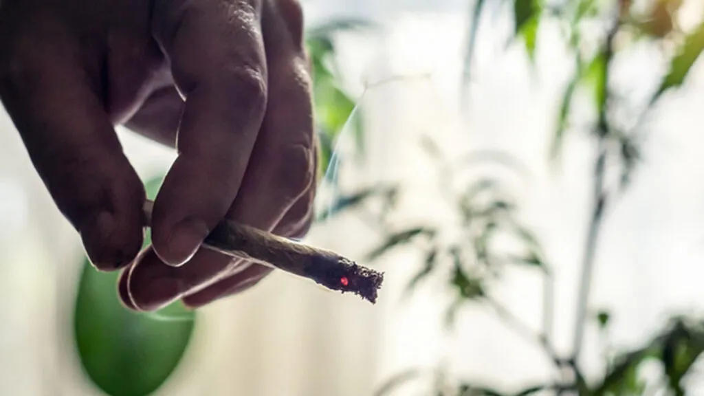 Los-efectos-del-cannabis-en-la-fertilidad-1280x720