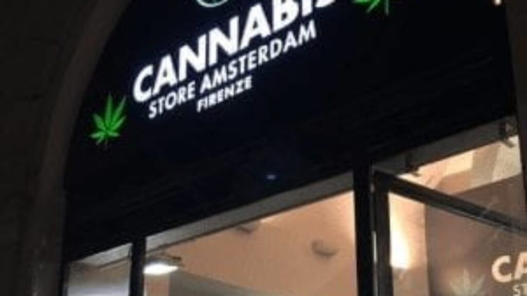 Cannabis-de-droga-criminalizada-a-negocio-global-multimillonario-1280x720