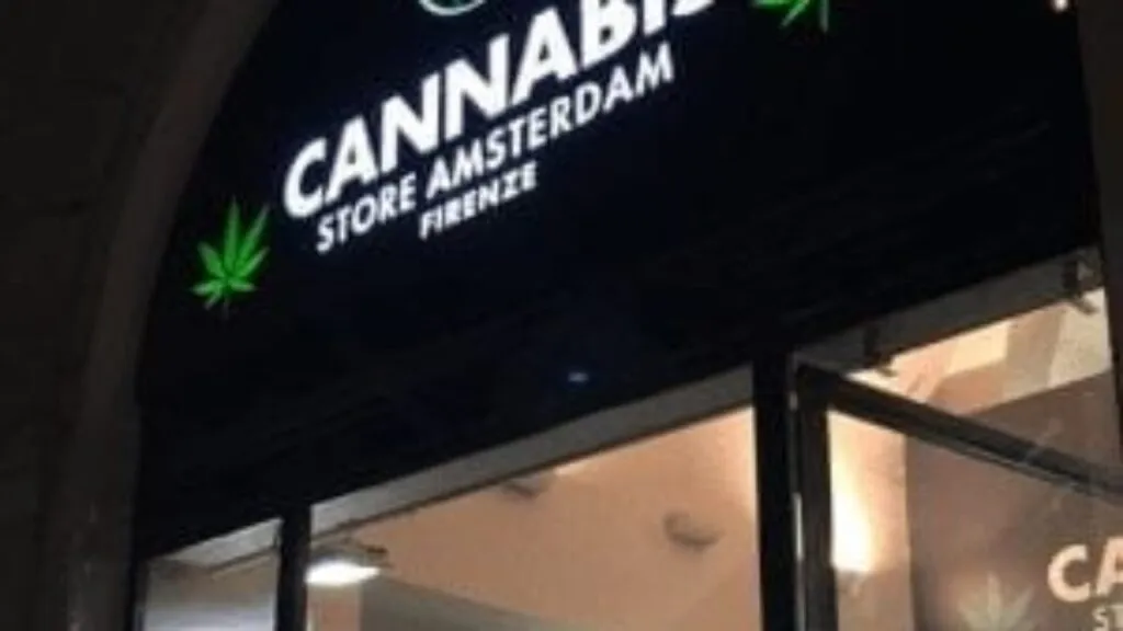 Cannabis-de-droga-criminalizada-a-negocio-global-multimillonario-1280x720