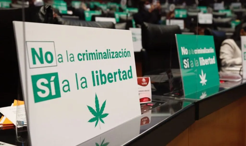 morena-senadores-cannabis-1280x760