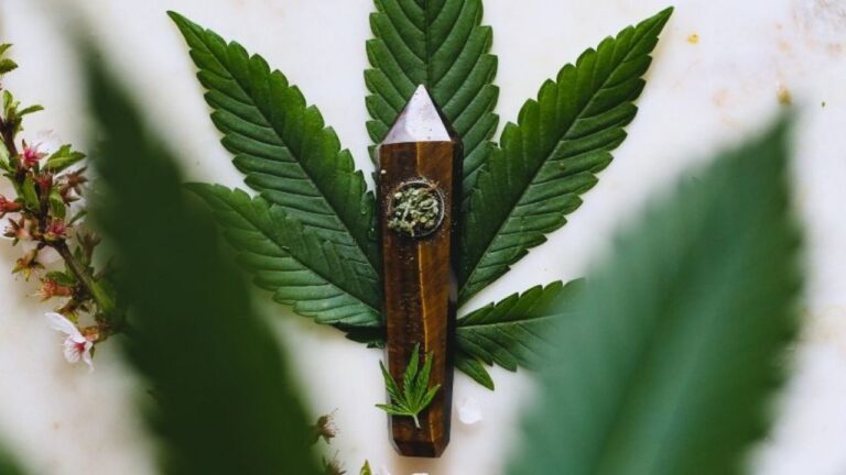 thc-vs-cbd-1280x720