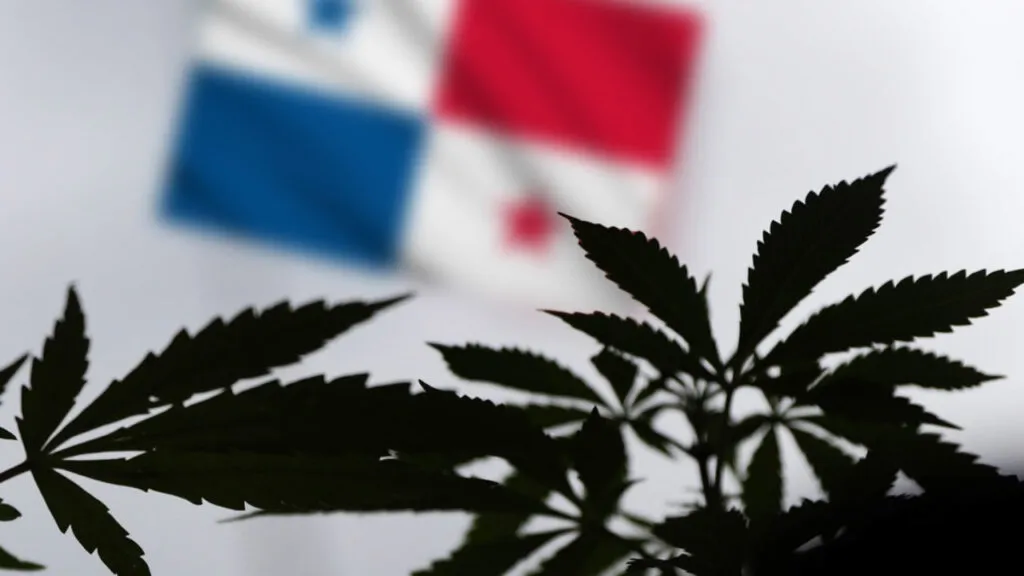 1630414161_Panama-approves-the-medicinal-use-of-cannabis-and-how-is-1280x720