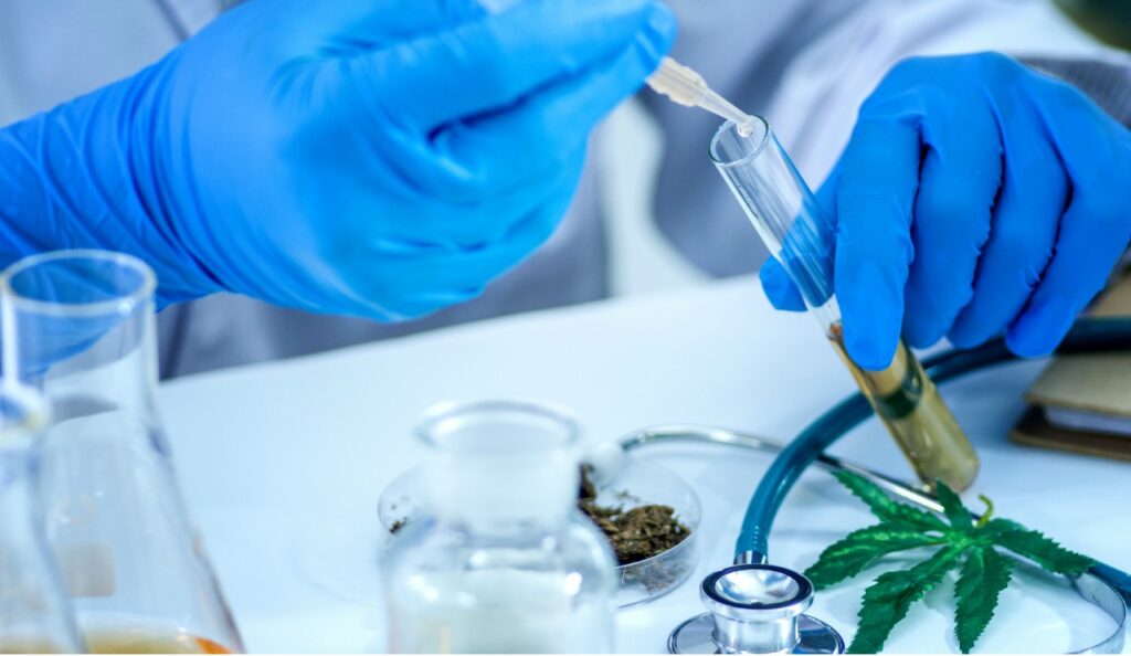 1920_181126-cbd-banner-556314