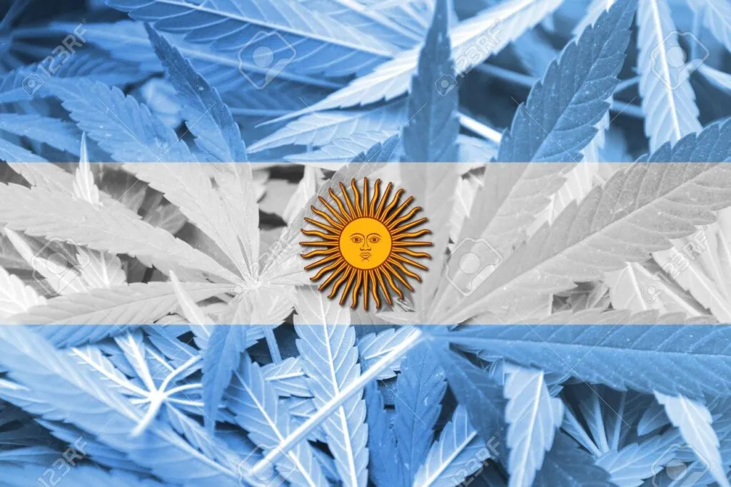 Argentina Flag on cannabis background. Drug policy