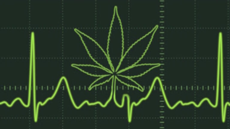 cannabis-corazon-1280x720