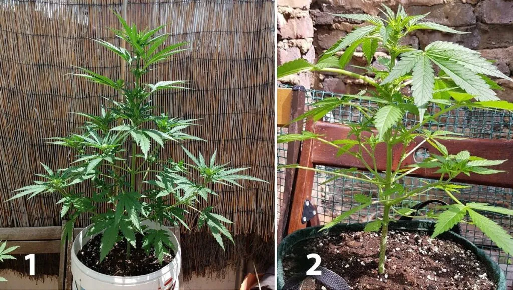 9b7e7c37cec45e6665aebea39a499507