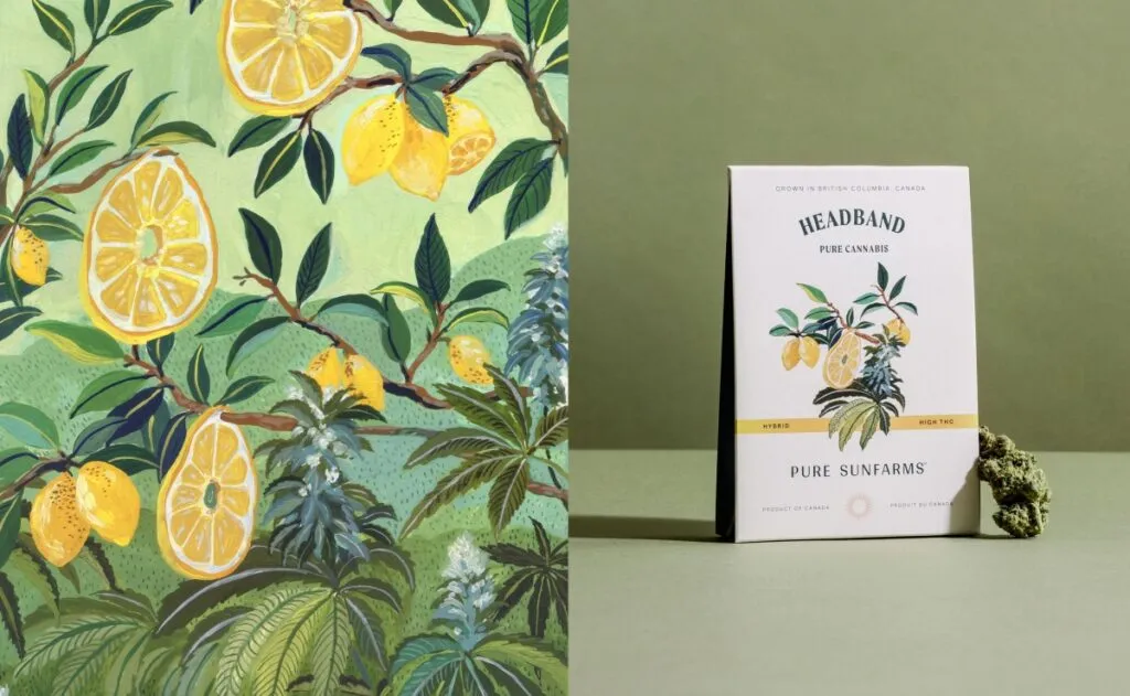 PSF_1-1200x0-c-default