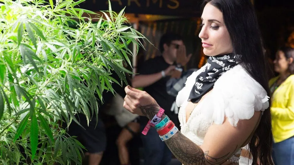 coachella-marihuana-1200x675