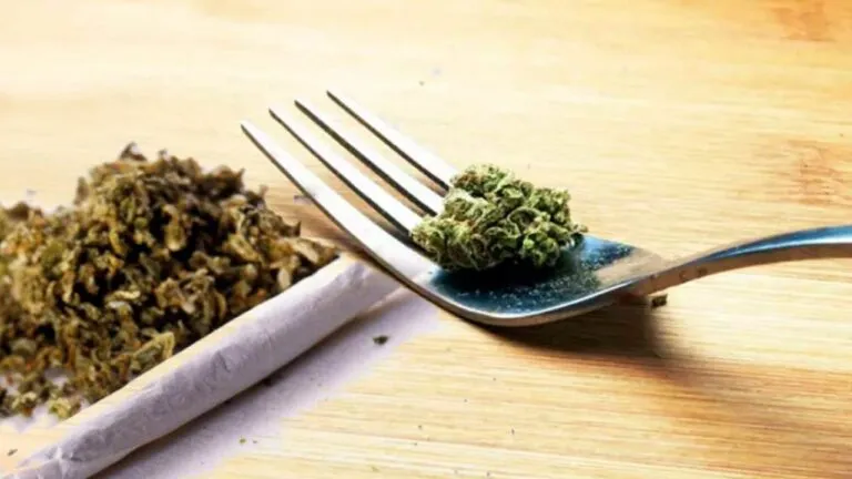 fumar-o-comer-marihuana-diferencias-1280x720