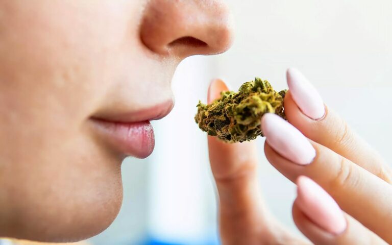 el-interior-de-la-nariz-de-los-consumidores-de-cannabis-se-parece-al-de-los-enfermos-mentales-doctortest-detectar-drogas-en-orina-consumo-drogas-venta-tests-deteccion-saliva