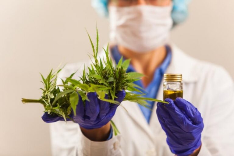 canabis-medicinal-1
