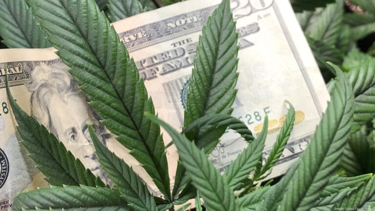 cannabis-and-money 1200xx3843-2162-0-364