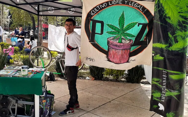 pdp_firmas-marihuana-senado_14102019_arturocontreras-1