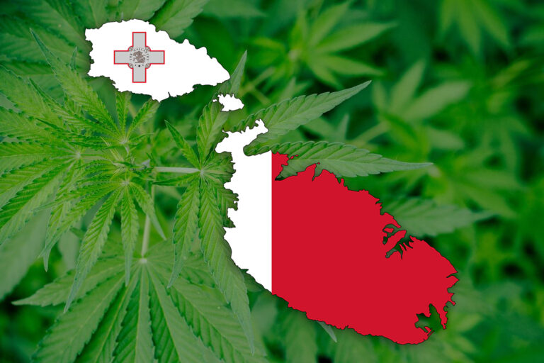 malta-anuncia-la-legalizacion-del-autocultivo-y-los-clubs-de-cannabis