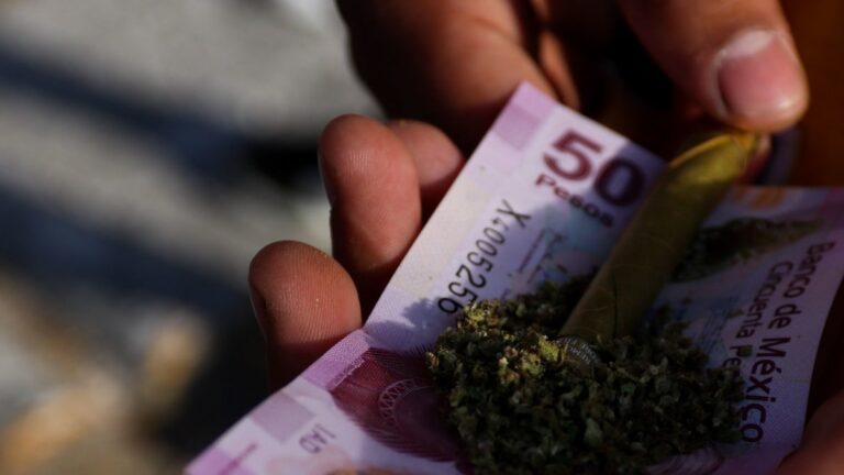 marihuana-drogas-legalizacion-impuestos-ganancias