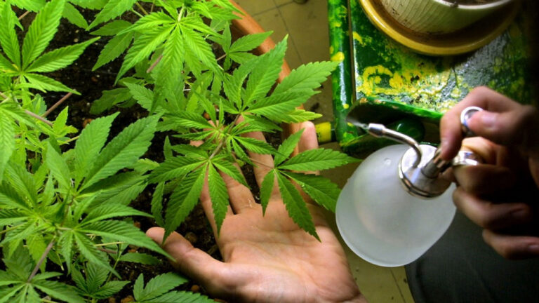 sindrome-abstinencia-marihuana-wide