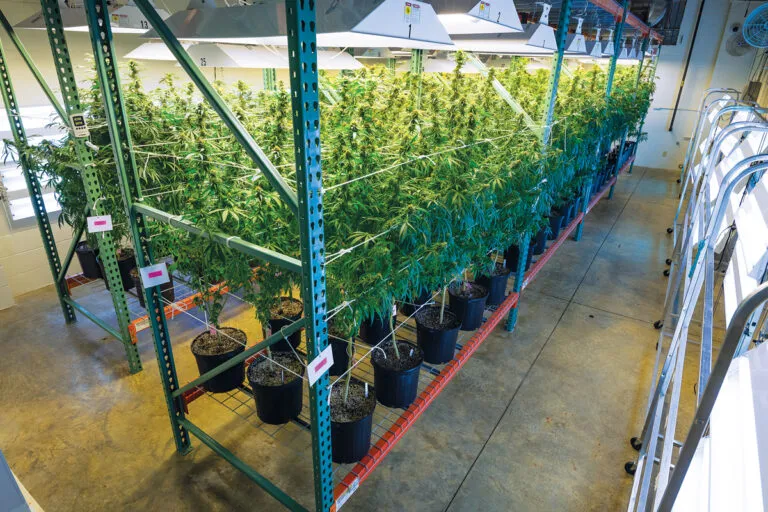 09825-feature5-growroom