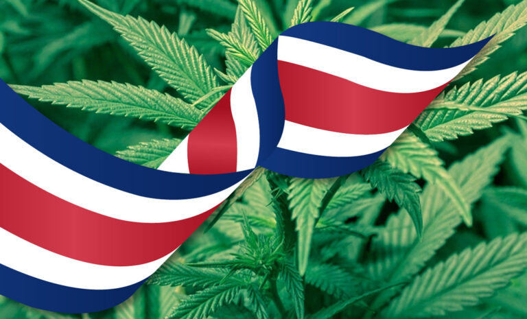 Costa-Rica-se-acerca-a-la-regulación-del-cannabis-medicinal-con-la-aprobación-del-Congreso