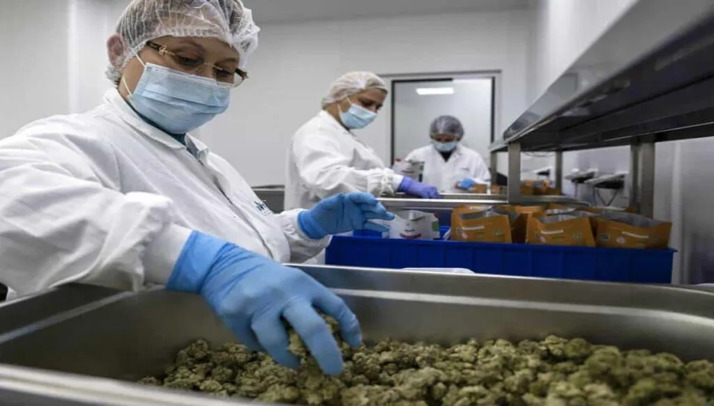 ap22033547258861-focus-0-0-1200-850