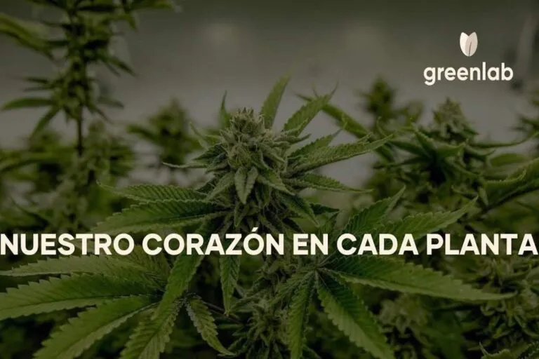 cannabis-nft-colombia-greenlab-porada