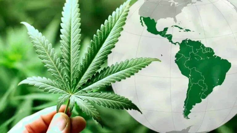 México tiene potencial de crecimiento en el segmento de cannabis medicinal, de acuerdo con estimaciones de Luis Doporto.