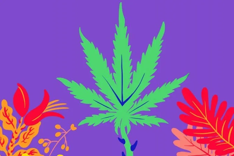 eaze-delivery-de-marihuana-app-domicilio