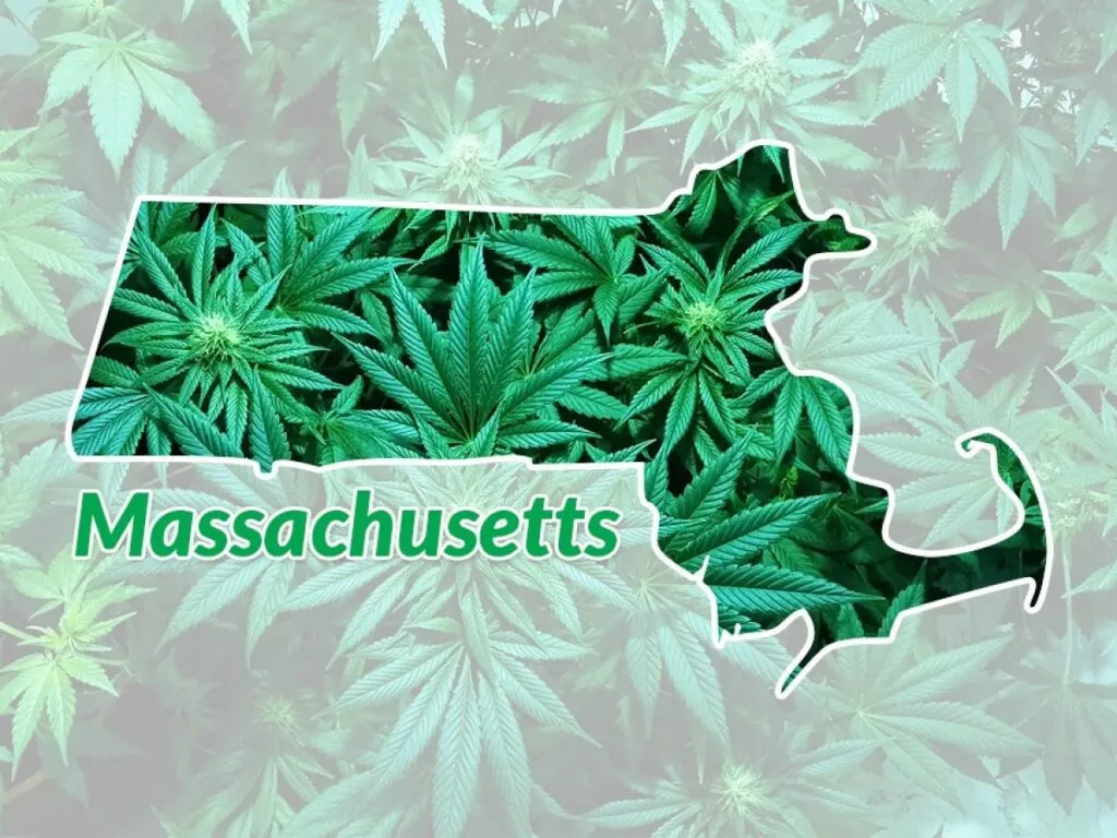 massachusetts-cannabis-1200x900
