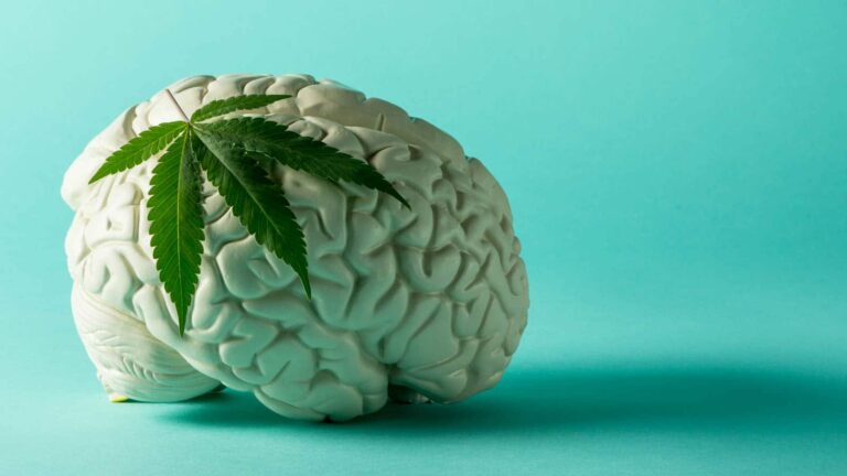 cbd-effet-cerveau