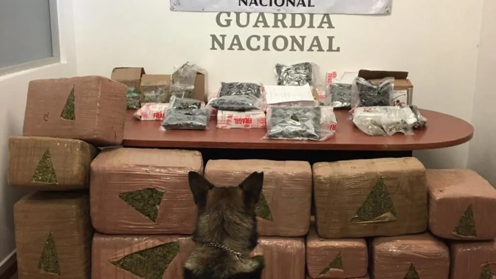 tvazteca.brightspotcdn