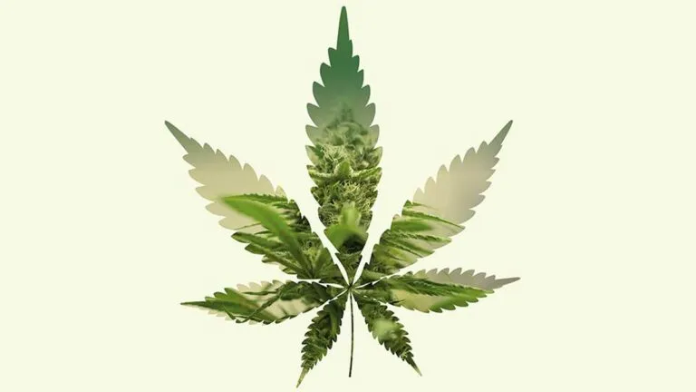 Luis Doporto Alejandre además considera que la industria puede potenciar a otros sectores y sus cadenas de valor.