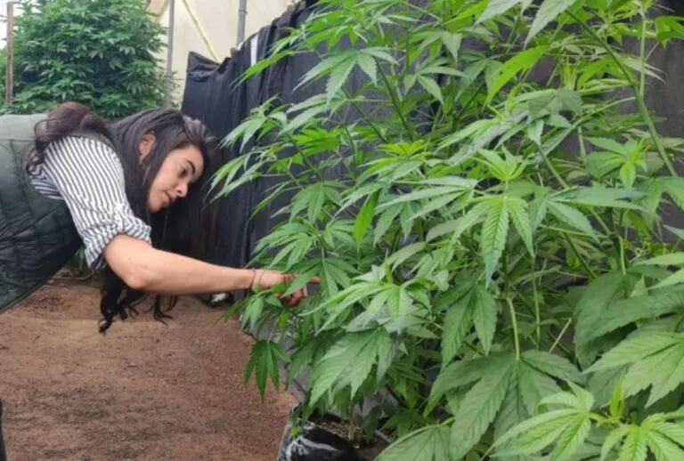 0315cdb4bfa7b7288368d31df27b69ab_XL