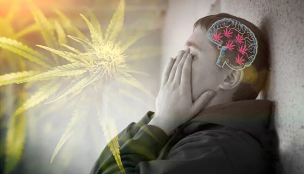 cannabis-y-esquizofrenia