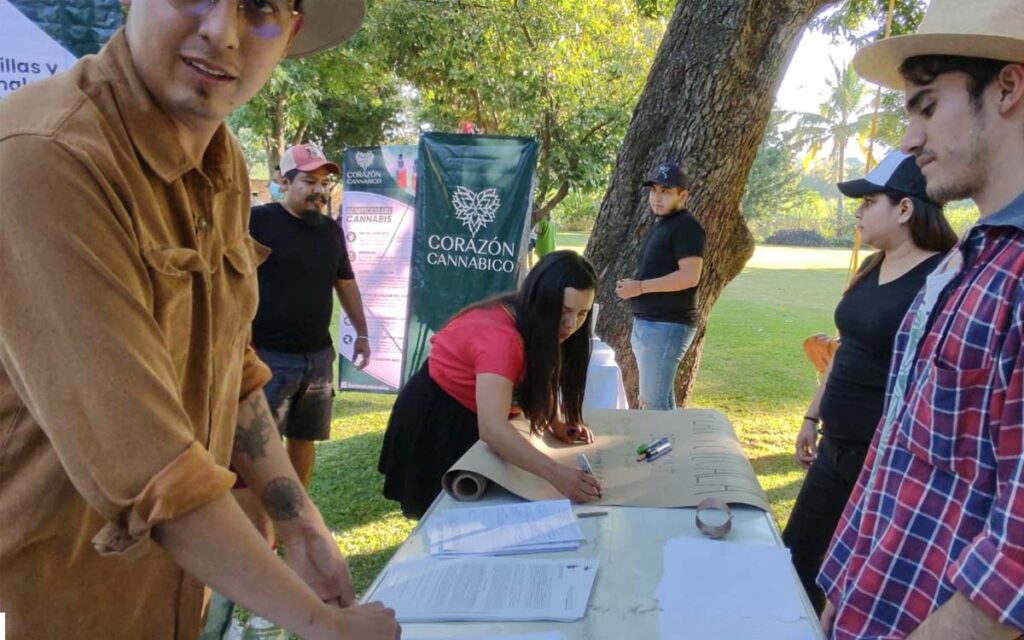 cannabis-tetecala-marihuana-morelos